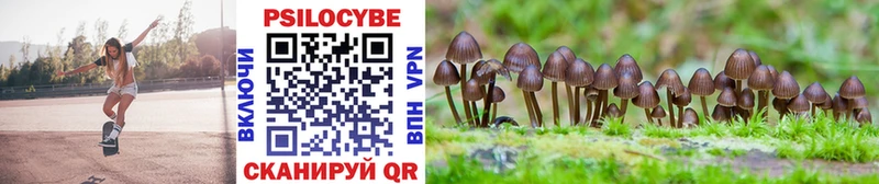 купить закладку  Талица  Галлюциногенные грибы Psilocybine cubensis 